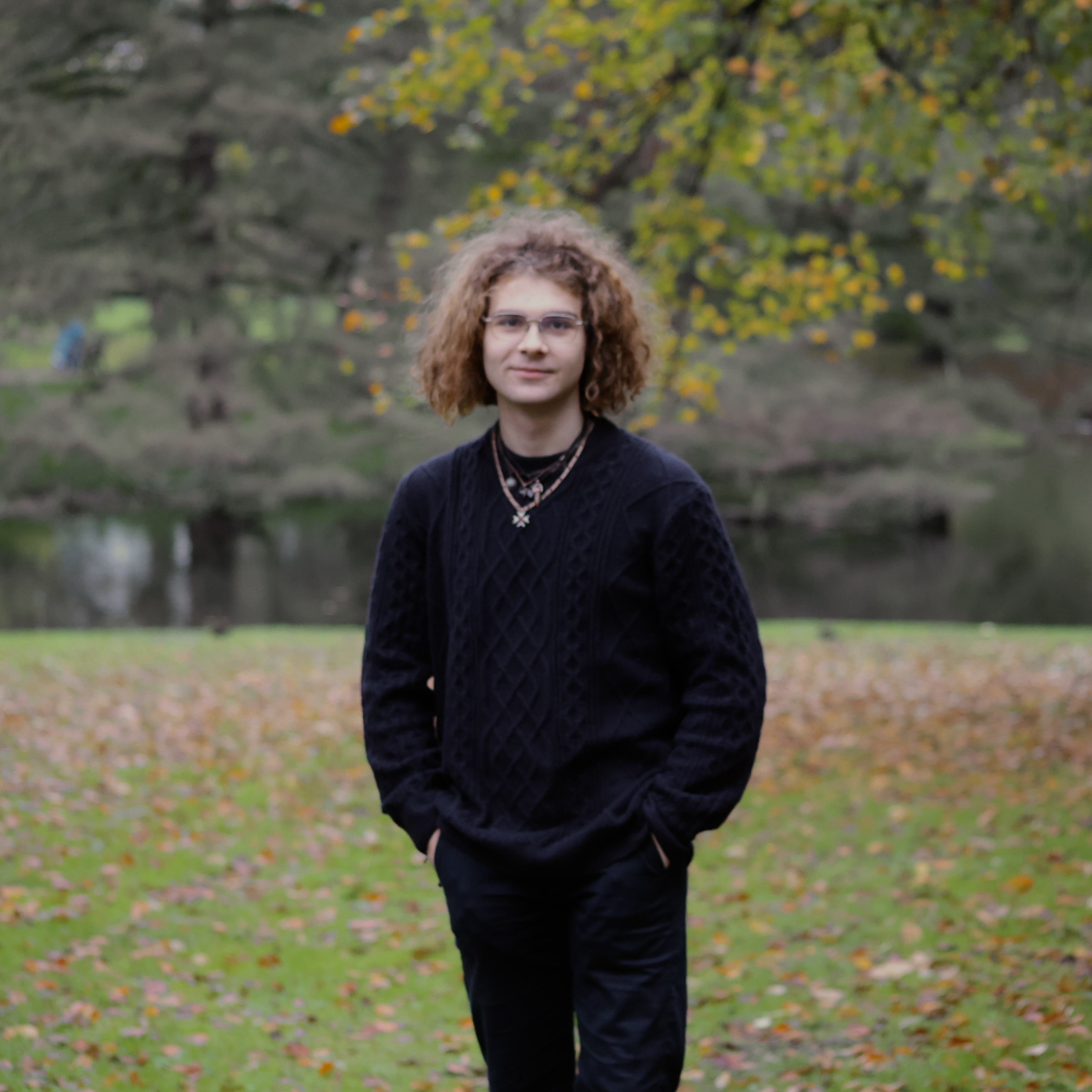 Brișan Andrei-Sebastian